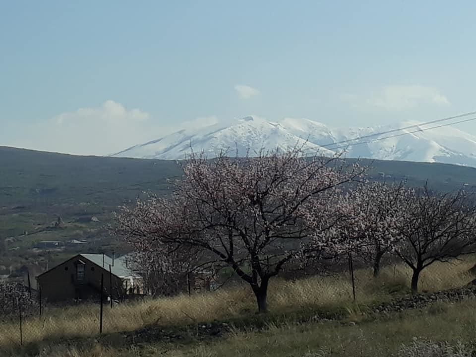 Отели типа «постель и завтрак» Villa Mimi Pʼarpi-5